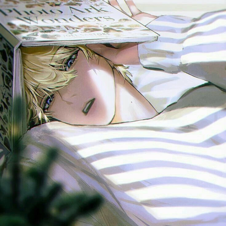 최 이안