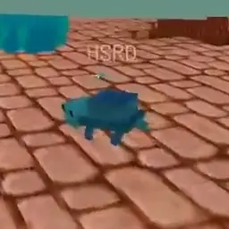 Profile image of 밤을 보는 눈