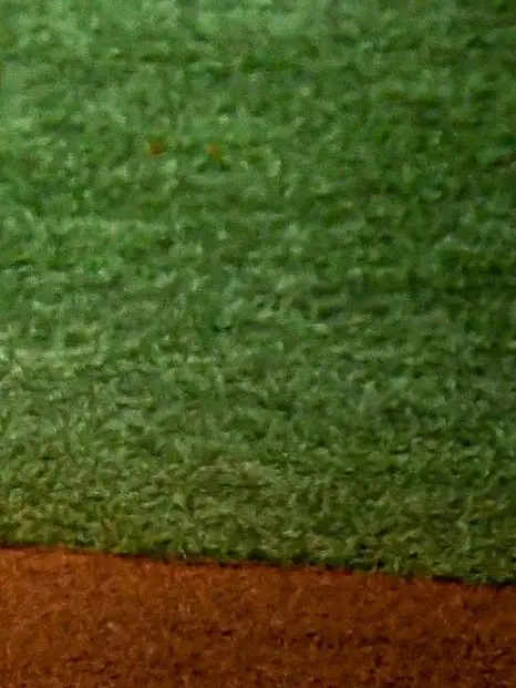 Banana.love의 大城卓三