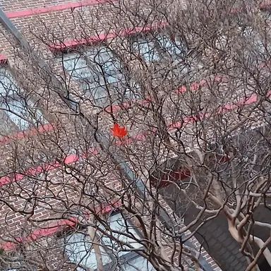 Profile image of 김동현