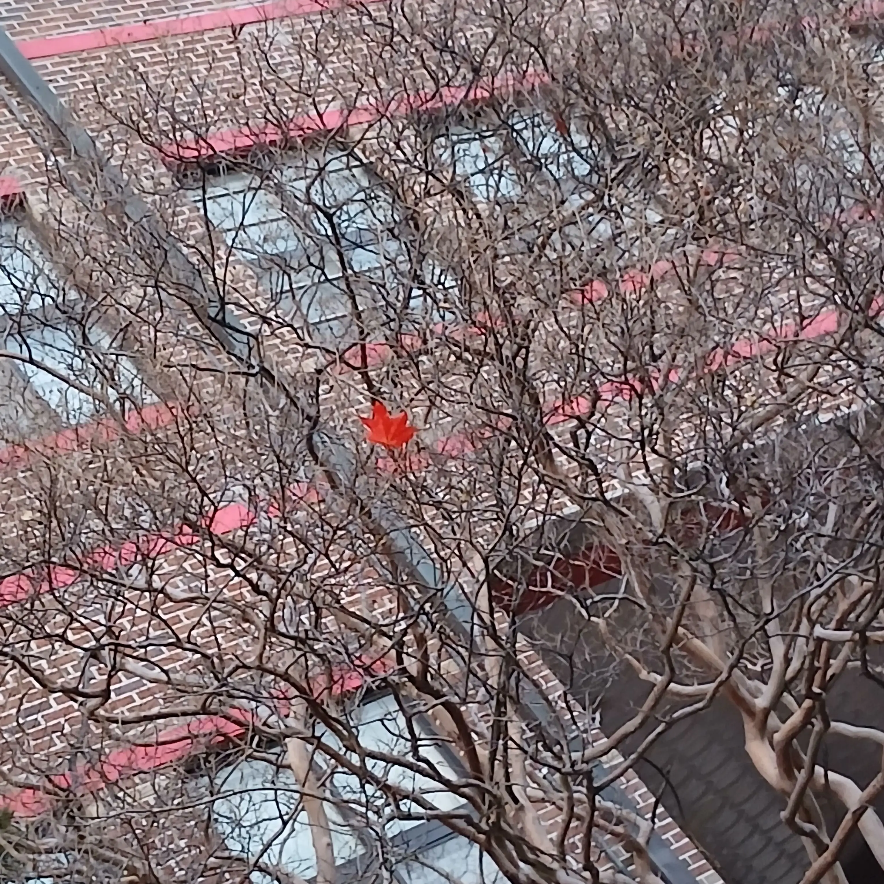 PerkyBirth9143의 김동현