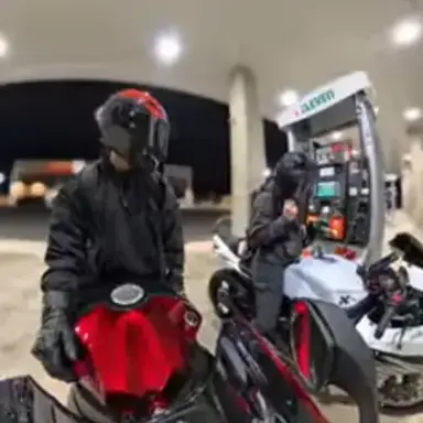 Profile image of Rocco and Silas