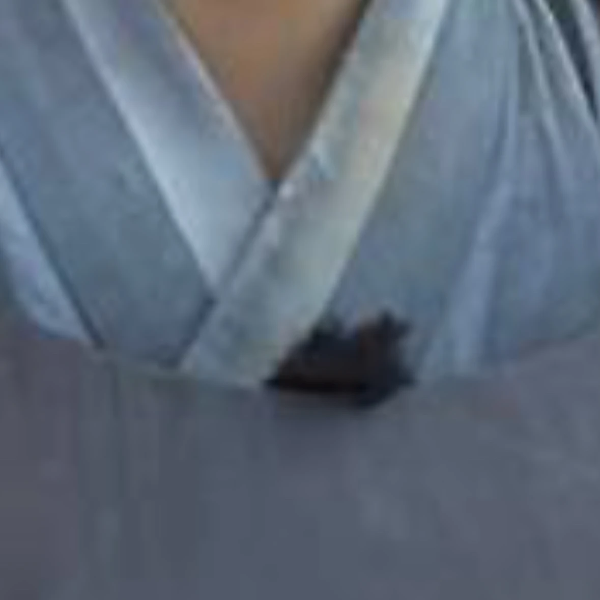 서길금
