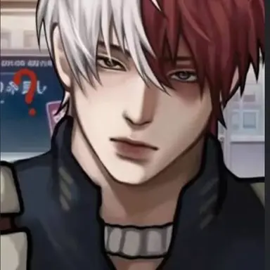 Profile image of Shoto Todoroki