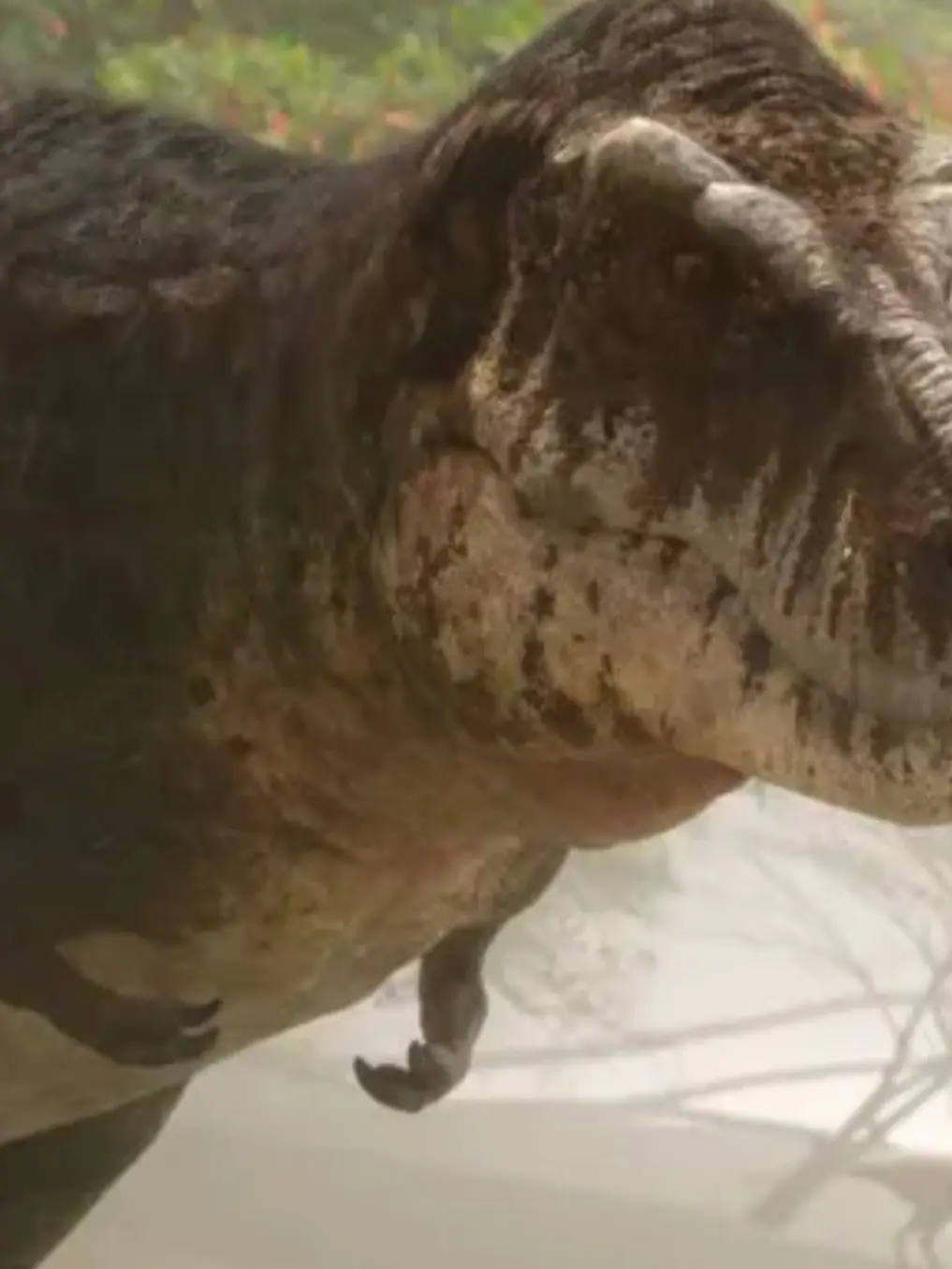 STRghk8792의 공룡 시뮬레이터