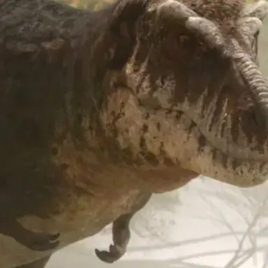 Profile image of 티렉스