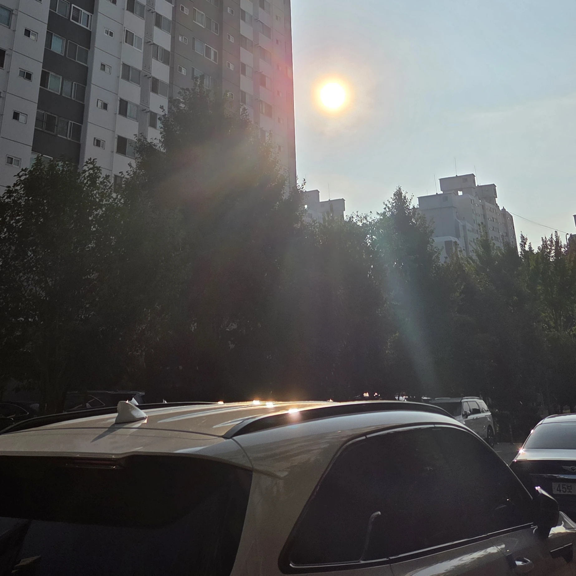 덕개