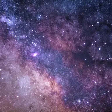 Profile image of 선생님