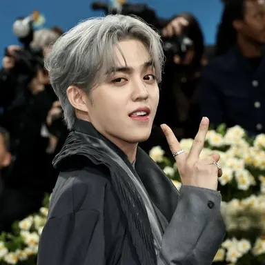 Profile image of Seungcheol