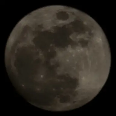 Profile image of 엄마