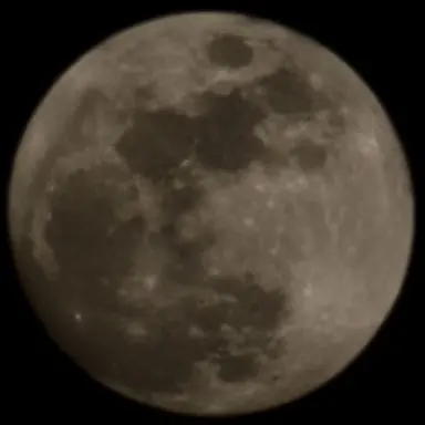 Profile image of 아빠