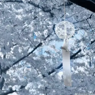 Profile image of 벨키