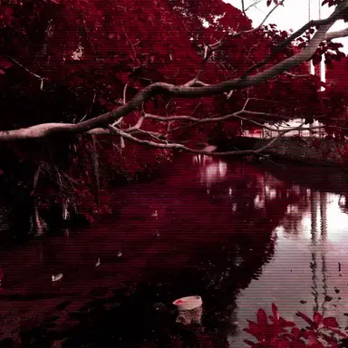 Profile image of 유기사