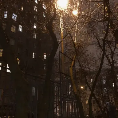 Profile image of 비럭키