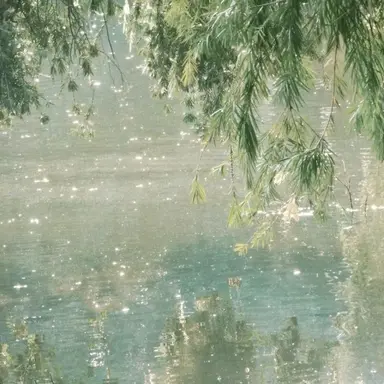 Profile image of 우유참치