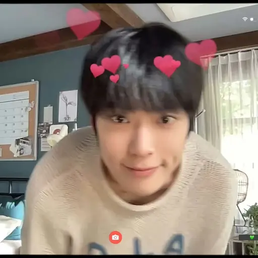 silvialiu의 재현