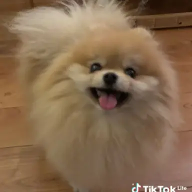 Profile image of Sunny