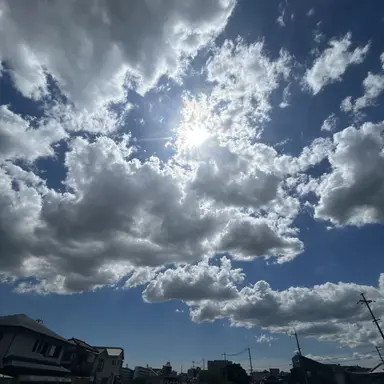 Profile image of あくまゆ