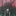 얀데레 최태현
