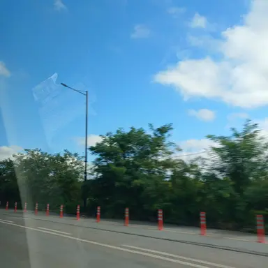 Profile image of 여우