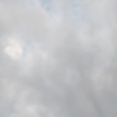 Profile image of 仮味那   シオリ