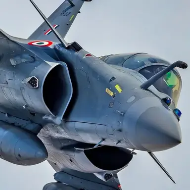 Profile image of 라팔