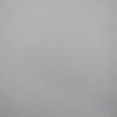 Profile image of 유기사