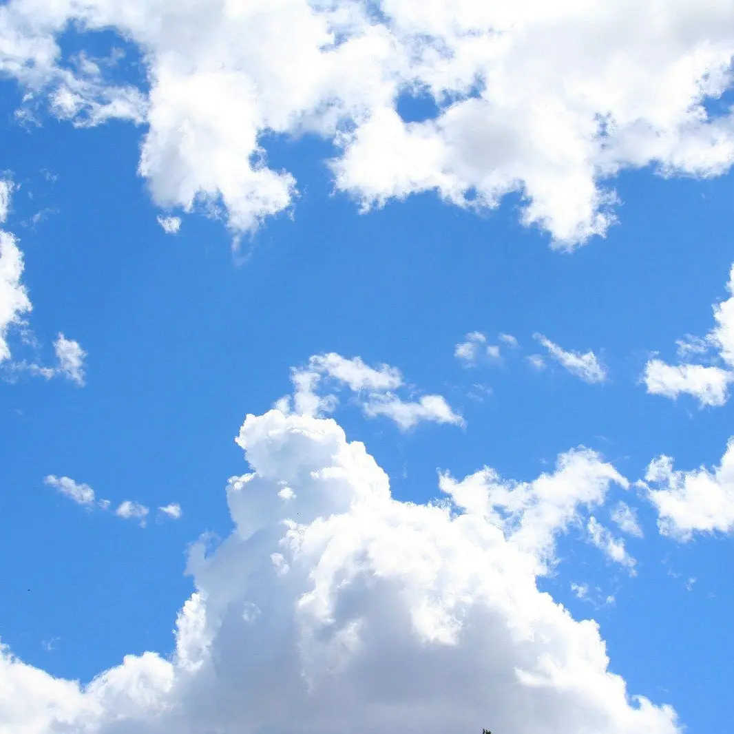 FutureXeme9712의 3 대 3 소개팅!