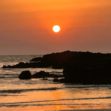 Profile image of 윤혁준