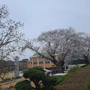 Profile image of 데스티네이션 송산초