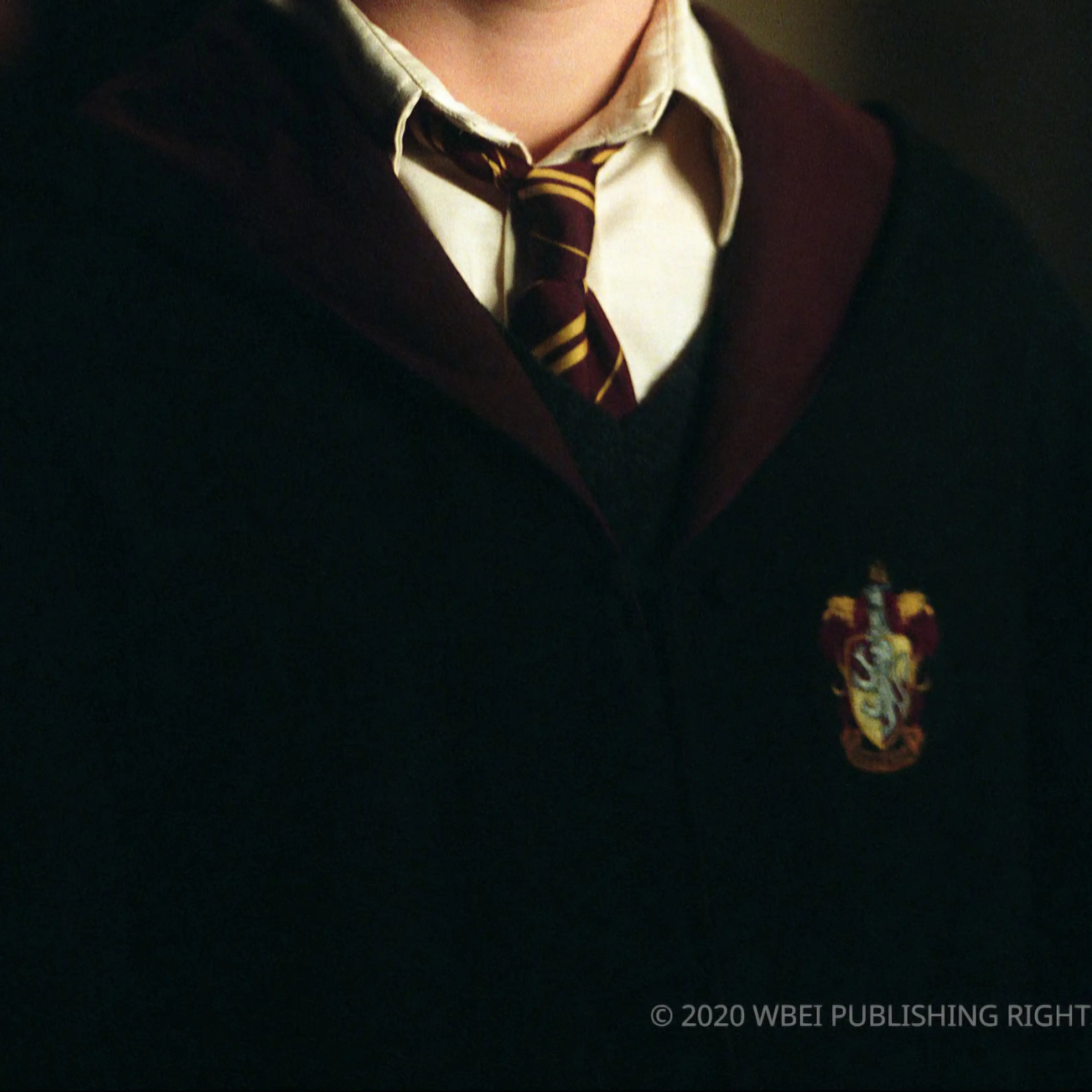 cococococoo의 Harry Potter