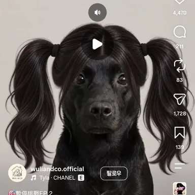 Profile image of 유우키 키츠네
