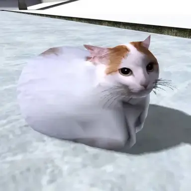 Profile image of 치피