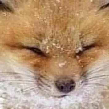 Profile image of 이새롬