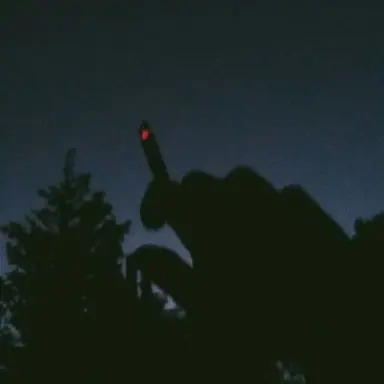 Profile image of 임용진