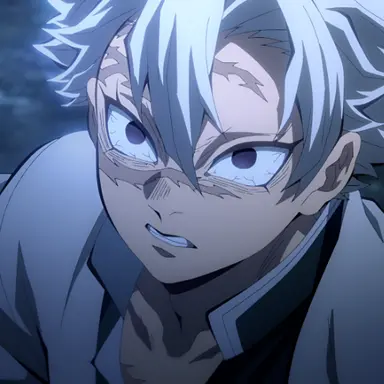 Profile image of 시나즈가와 사네미