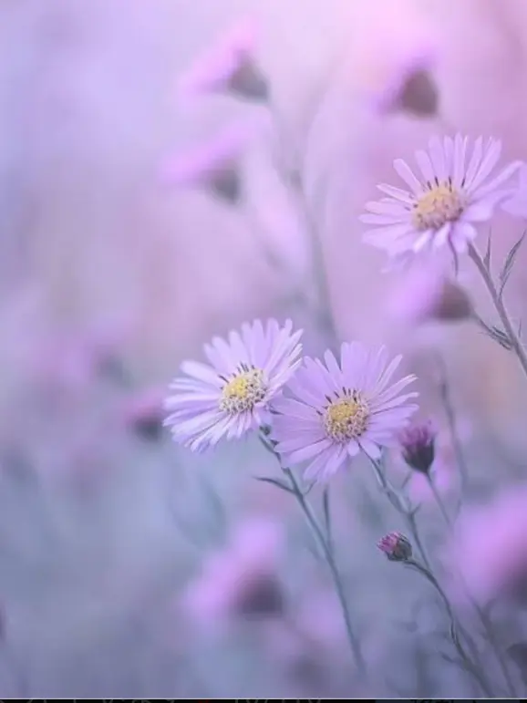tnsiREI20110928의 現代パロ
