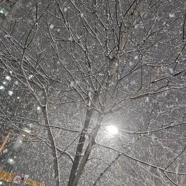 Profile image of 이상혁