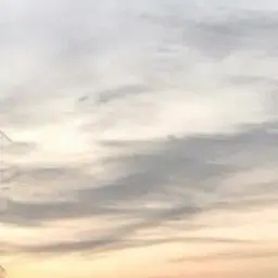 Profile image of りな