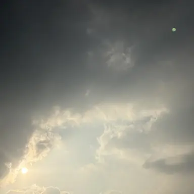 Profile image of 벤조