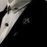 Profile image of 사티노스