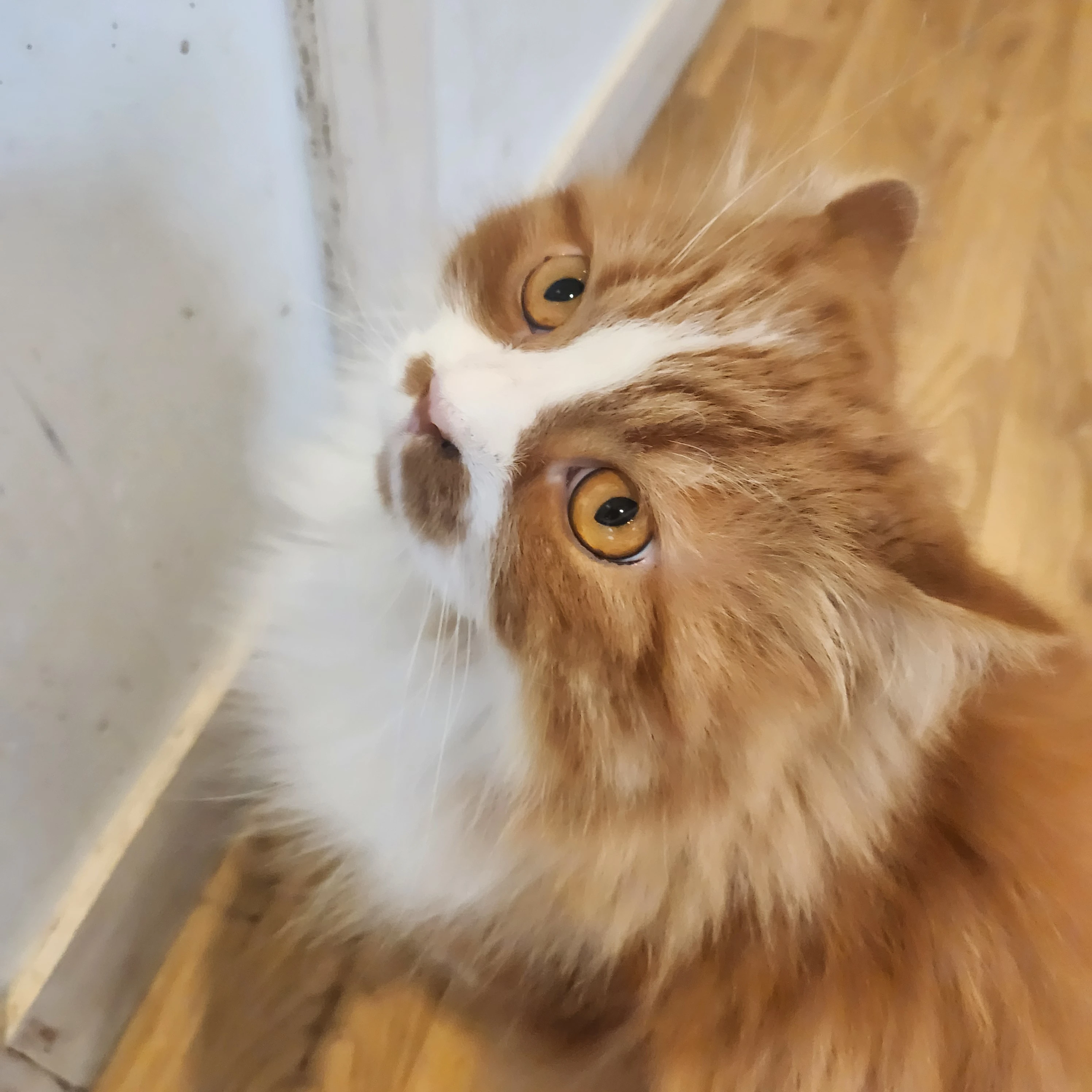 ㅌㅂㅌ
