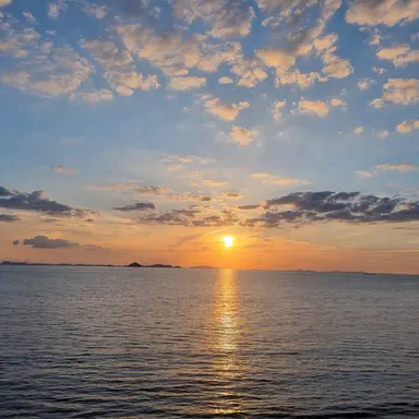 Profile image of 사랑한다 말하긩