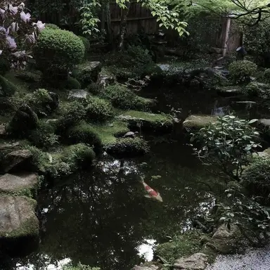 Profile image of 각별