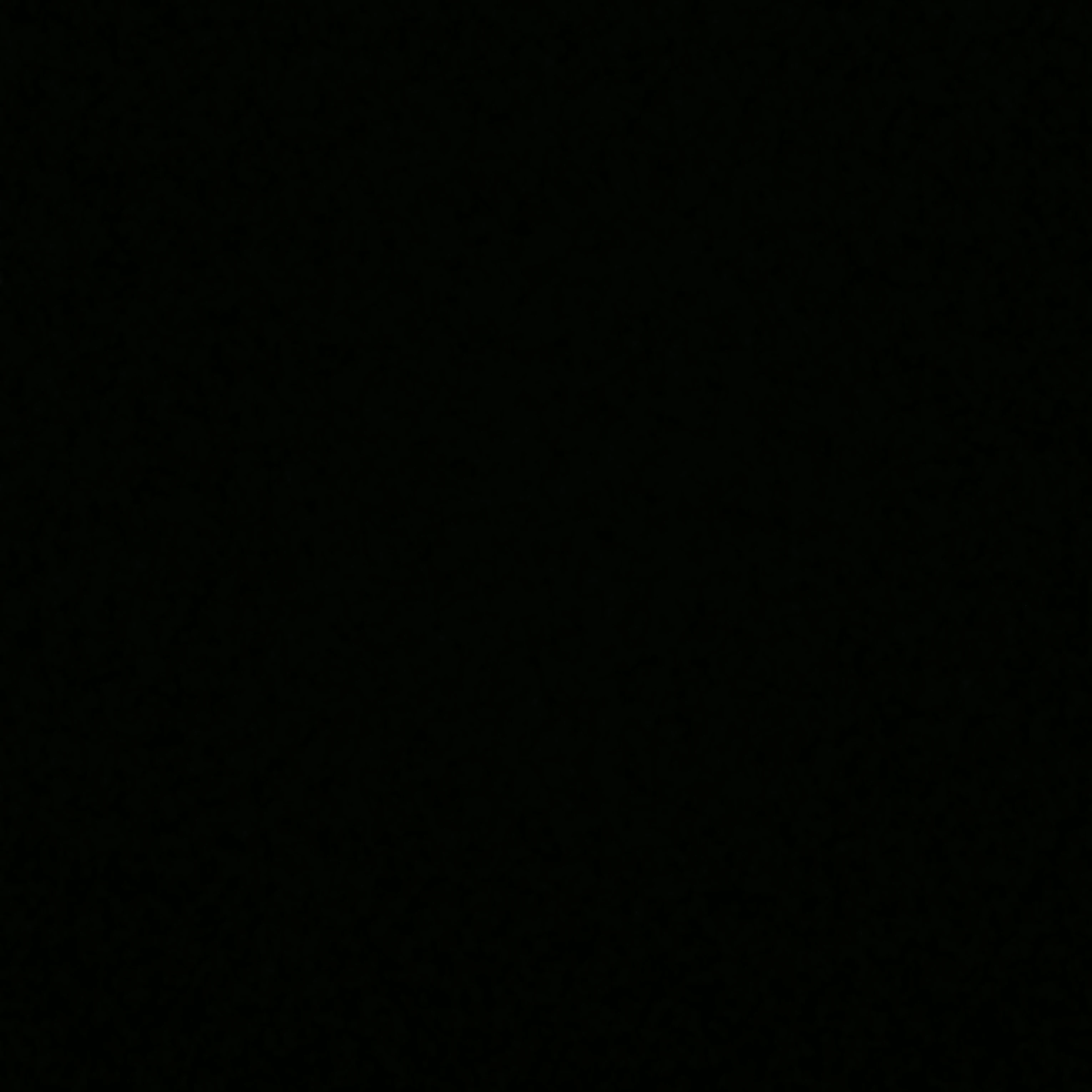 김동현