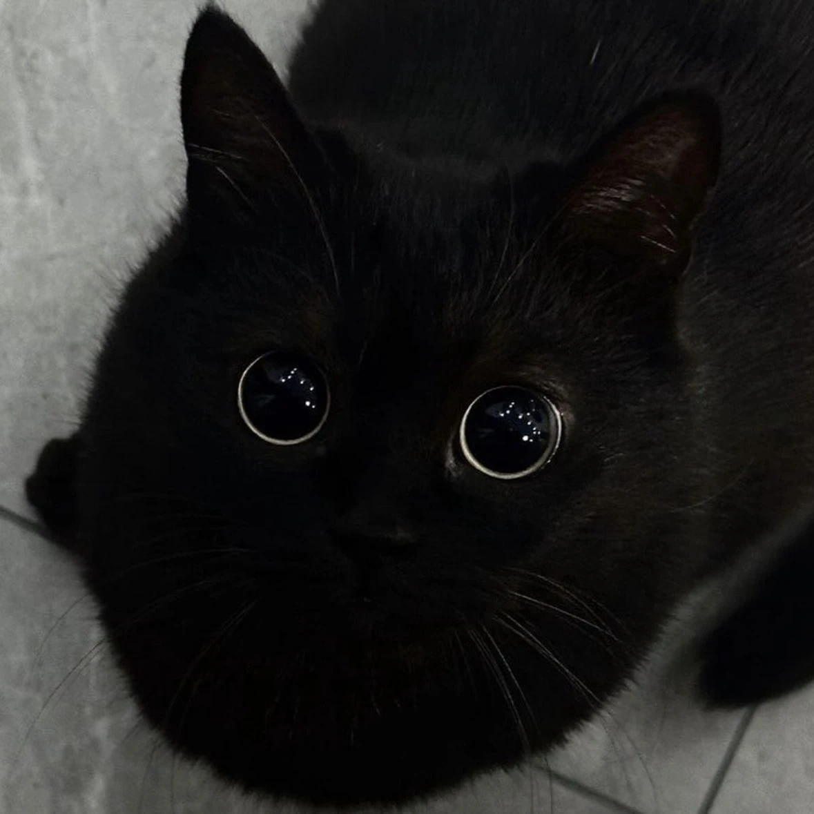 강태현
