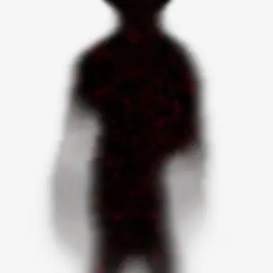 Profile image of Lookman