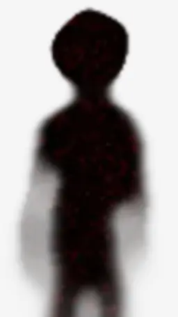 Profile image of Lookman
