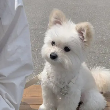 Profile image of 김승민