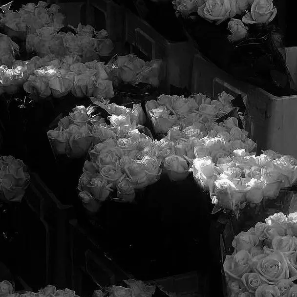 CrispyLane5550의 전원우